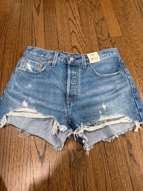 Women’s Distressed Blue Denim Cutoff Shorts